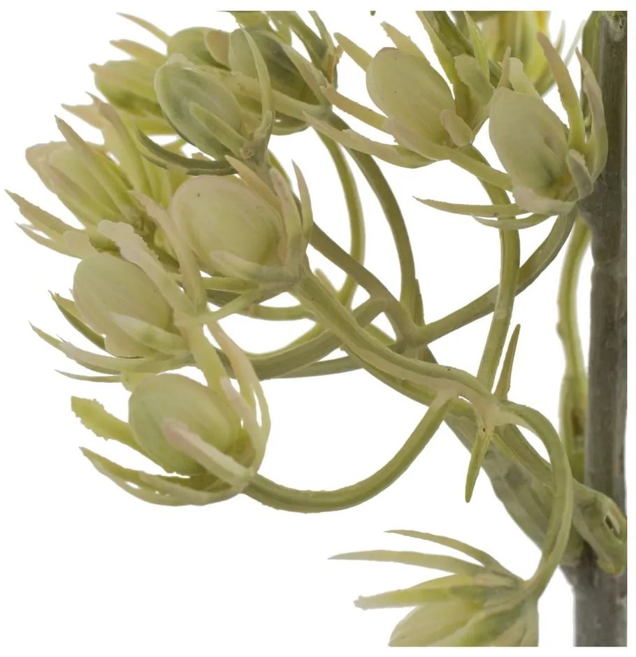 Mű ág (magasság 55 cm) – Ixia