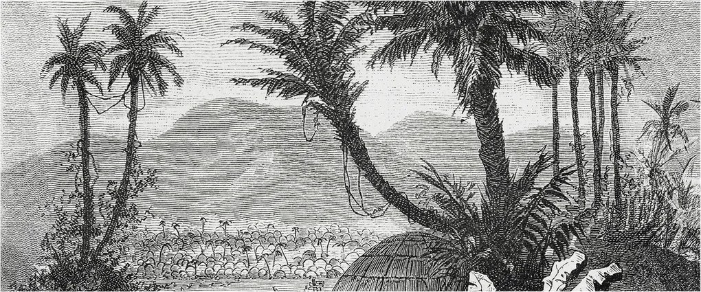 Fotótapéta Flizelin Dekoratív tapéta Trópusi oázis 250x104 Ragasztó