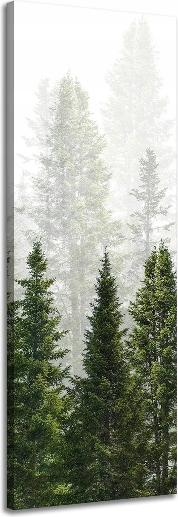 Vászonkép Esőerdő Természet Fák 40x120 cm