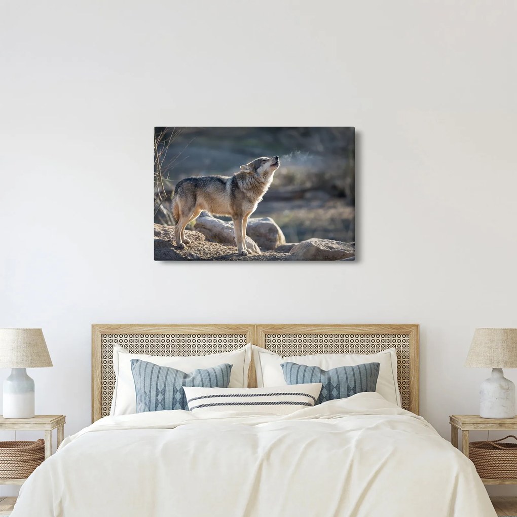 Kép - Üvöltő farkas (90x60 cm)
