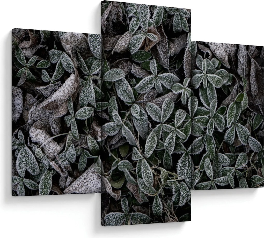 Kép - Fagyasztott növények (90x60 cm)