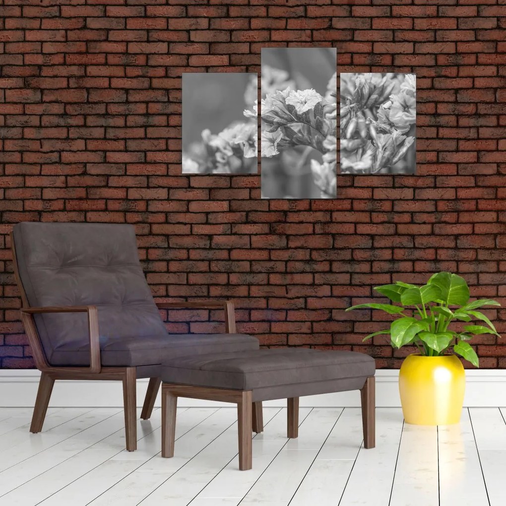 Kép - Szárított virágok (90x60 cm)