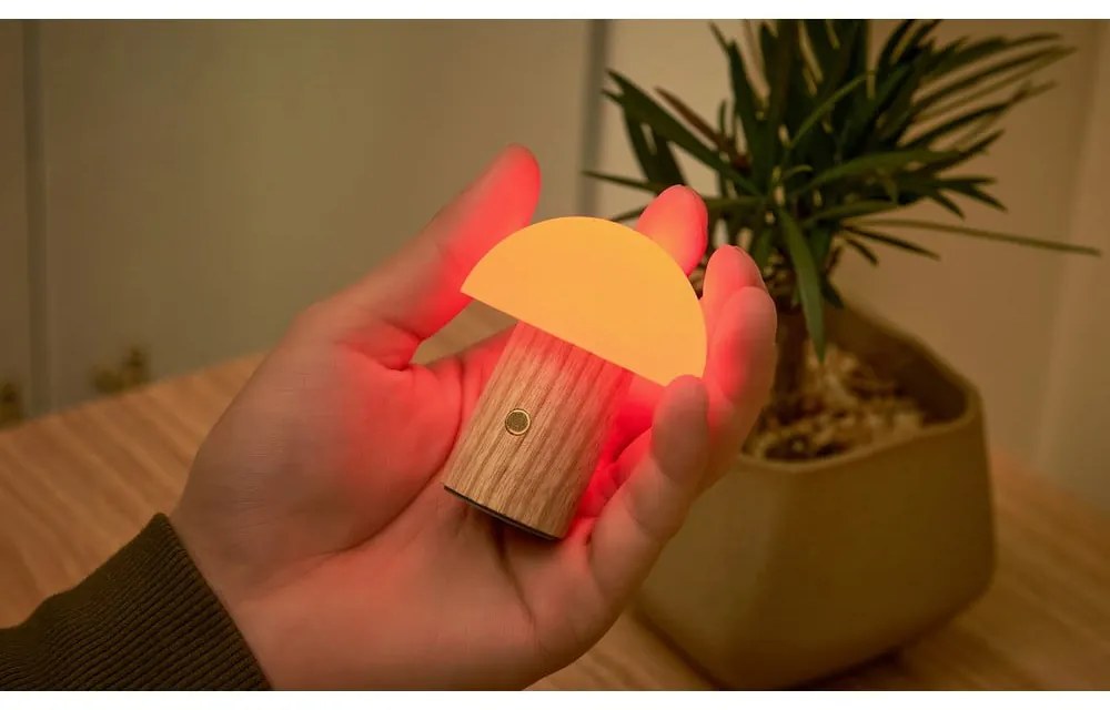 Natúr színű kőrisfa LED dimmelhető asztali lámpa (magasság 7 cm) Alice – Gingko