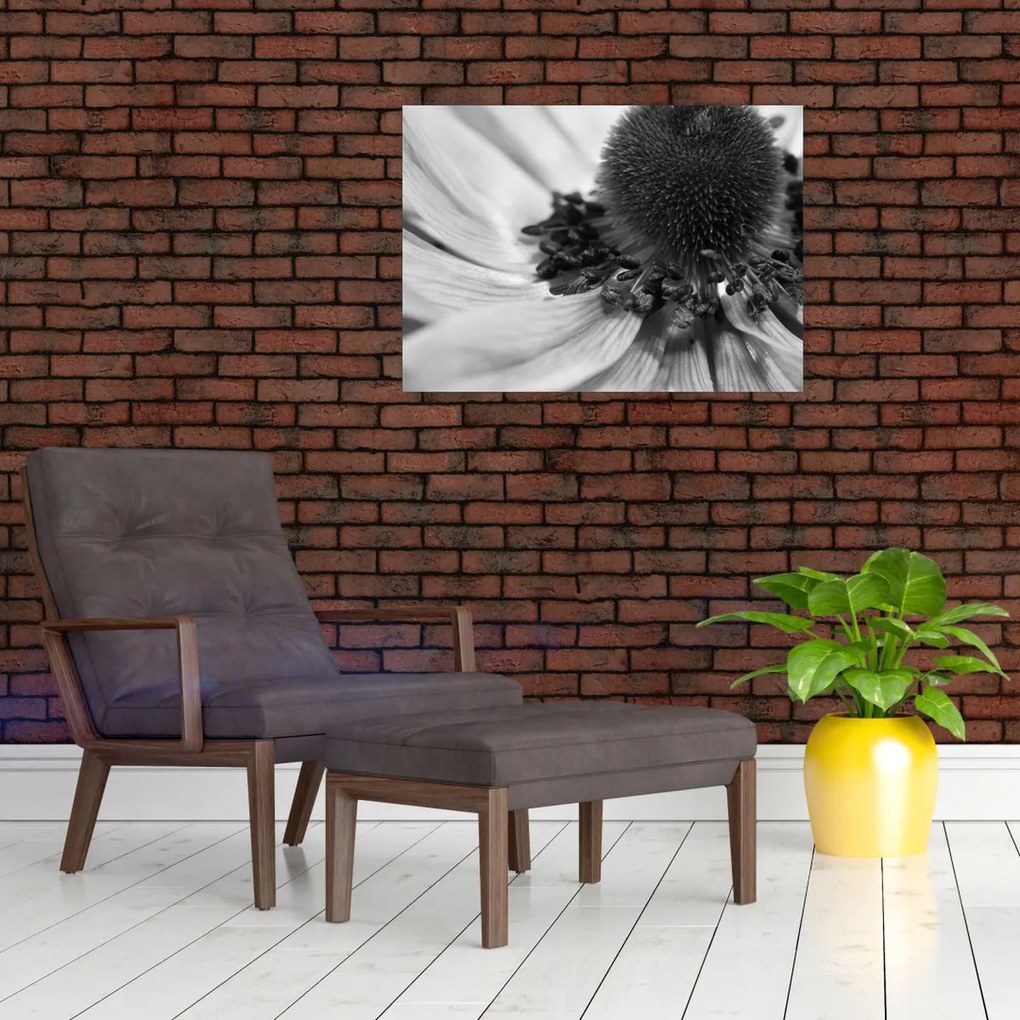 Kép - Virág fekete-fehérben (70x50 cm)