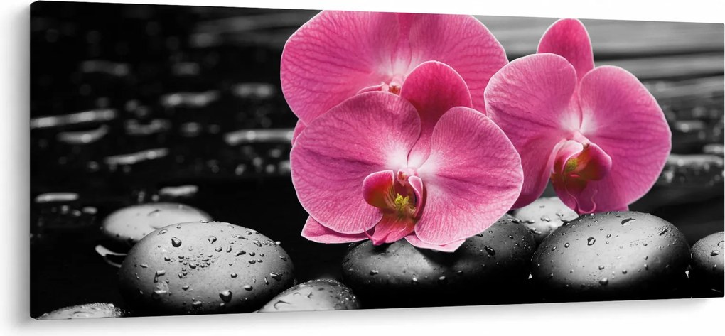 Kép - Rózsaszín orchideák (120x50 cm)
