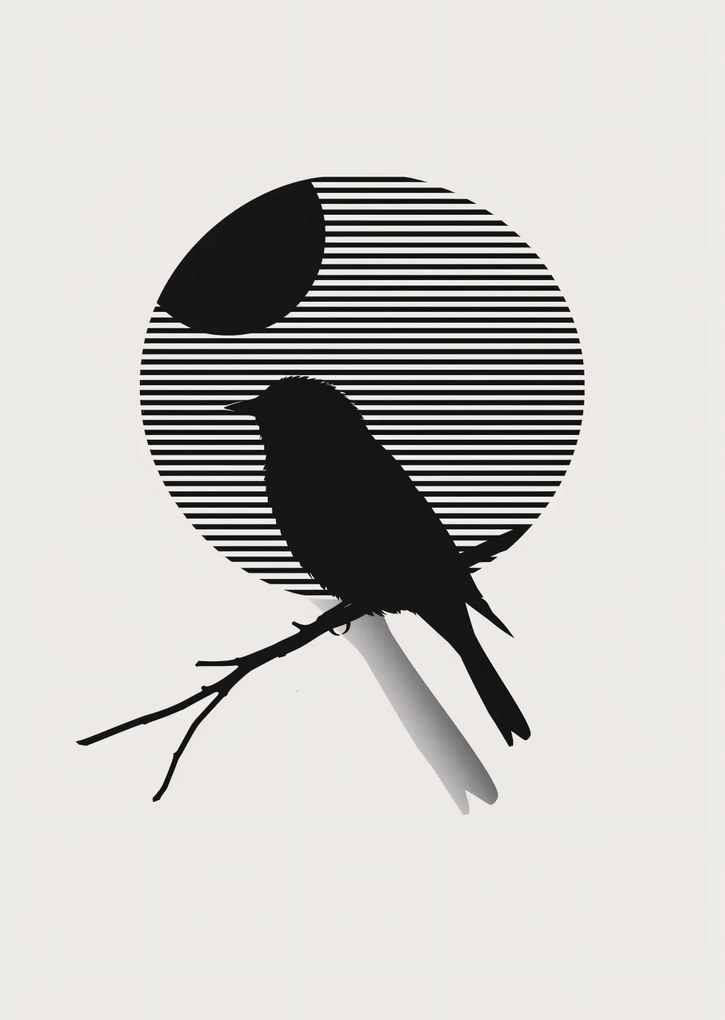 Poszter 67,5x95cm Kontraszt Karcsúság