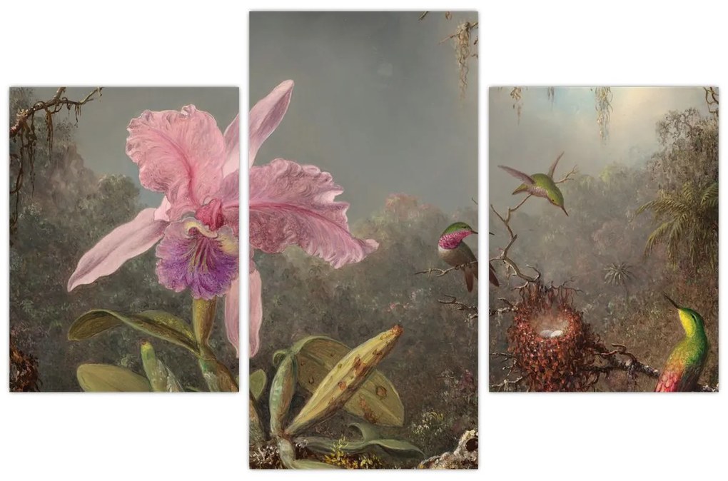 Kép - Martin Johnson Heade, Cattleya Orchid and Three Hummingbirds, reprodukciók (90x60 cm)