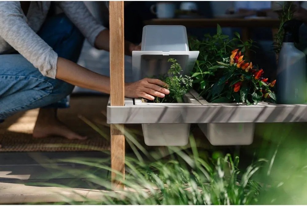 Magaságyás – Plastia