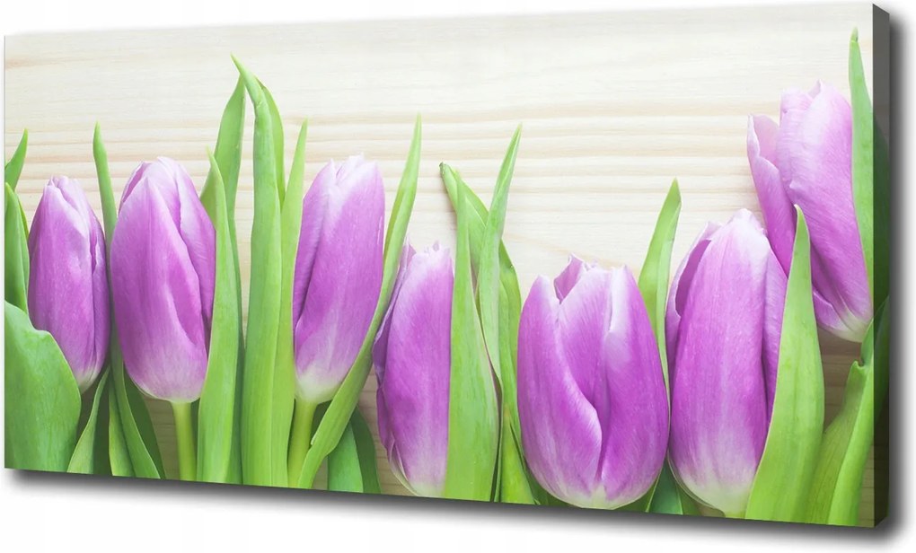 Vászonkép Lila tulipánok 100x70 cm