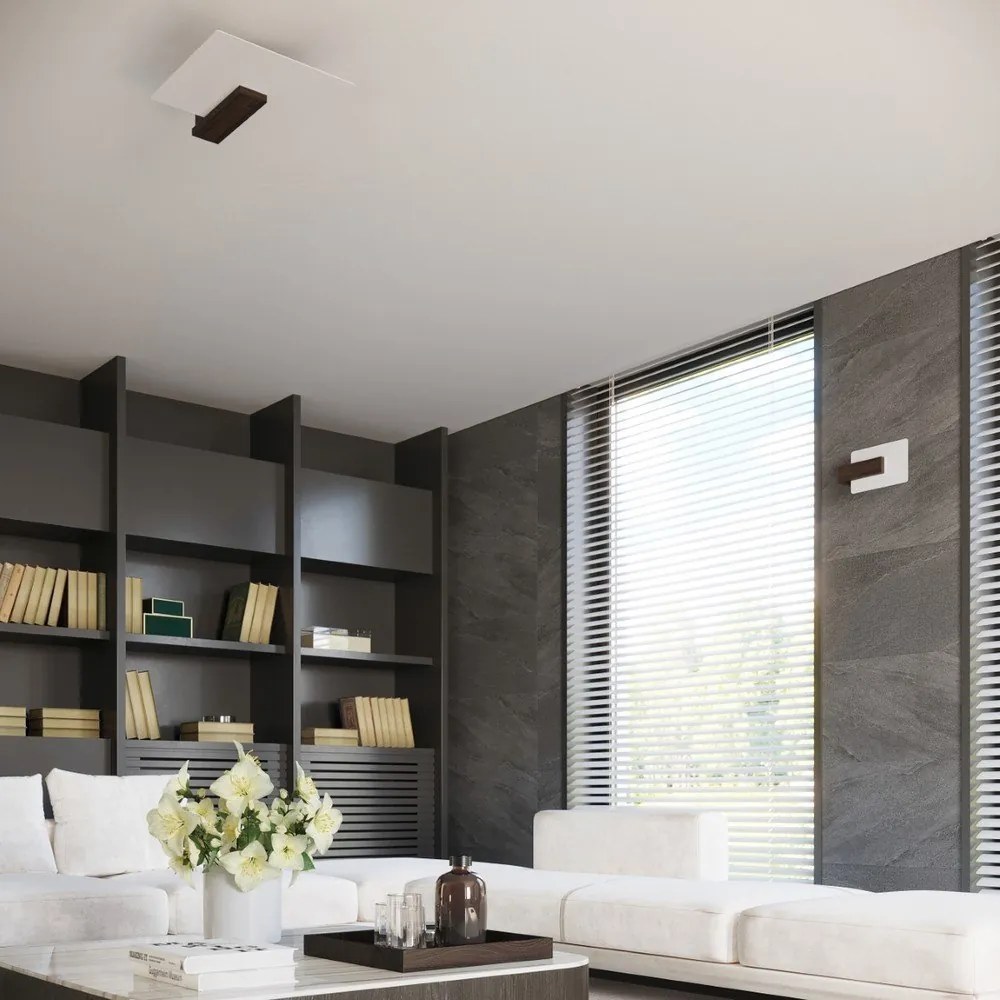 Sötétbarna fali lámpa Parola – Sollux