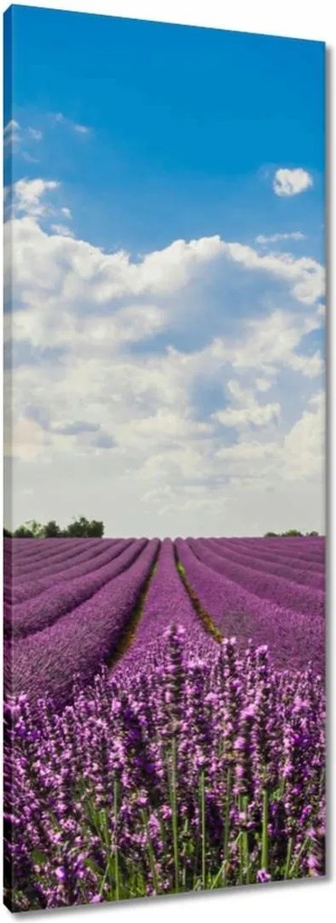 Vászonkép 40x100 Levendulamező Levendula