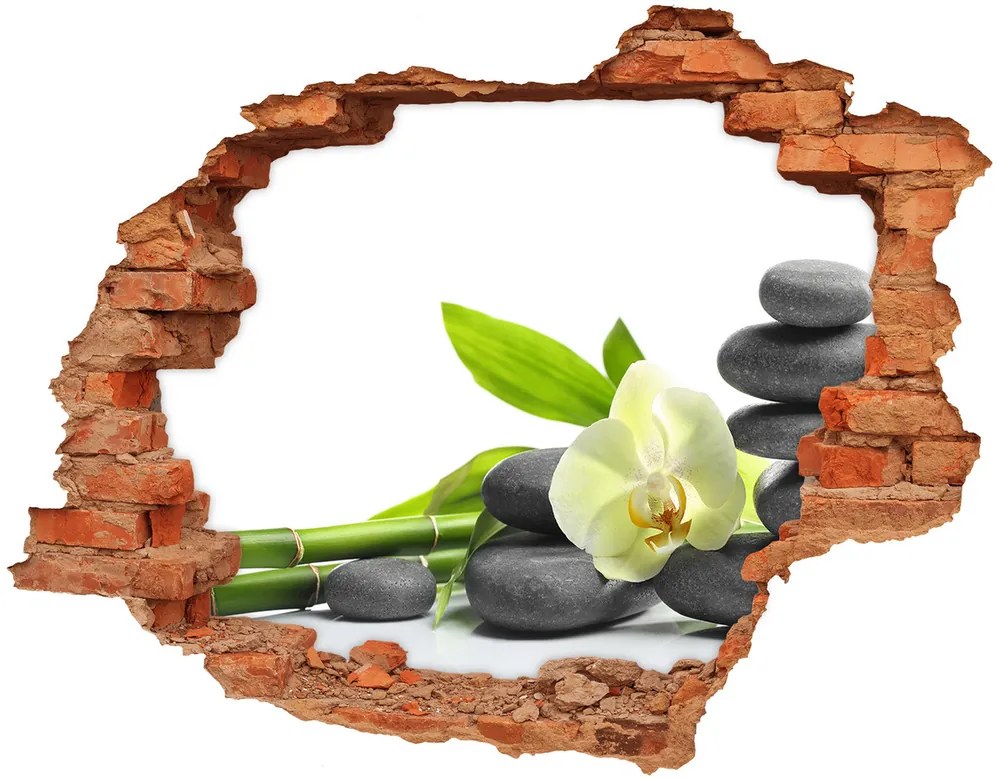 Fali matrica lyuk a falban Orchidea nd-c-68592259