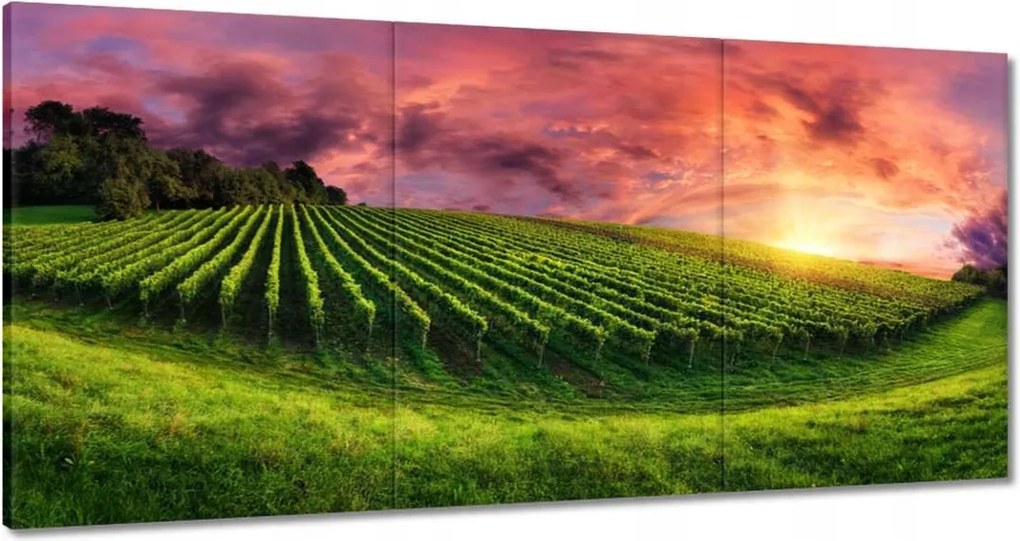 Festmények 180x90 Szőlőbirtok Tájkép