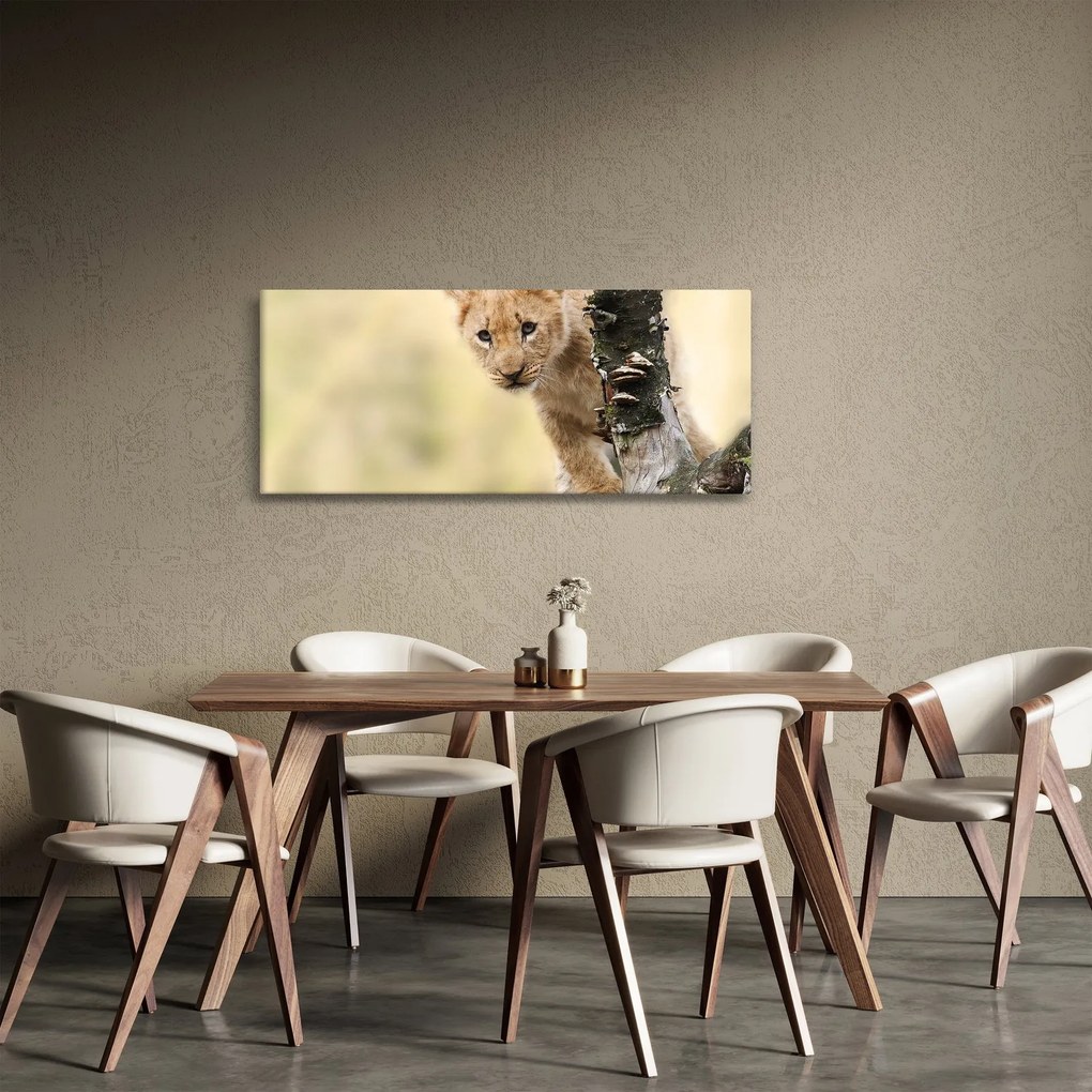 Egy oroszlán kölyök képe (120x50 cm)