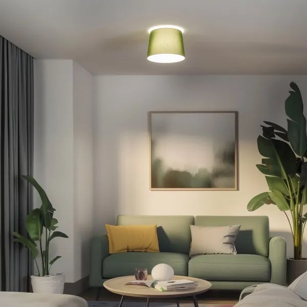 Brilagi - LED felületre szerelhető csillár CERIA 1xE27/40W/230V átmérő 30 cm zöld