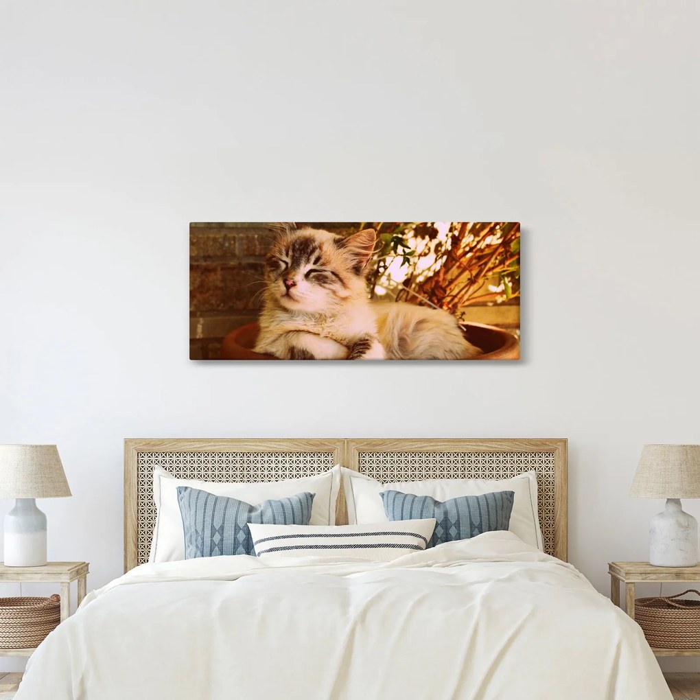 Macska a virágcserépben képe (120x50 cm)