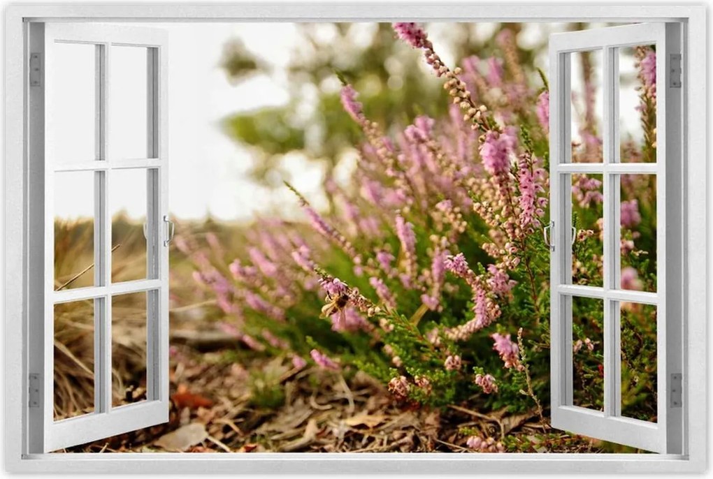 Poszterek 90x60 Erdei láp