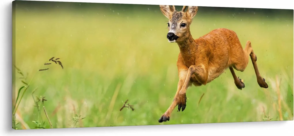 Kép - Őz (120x50 cm)