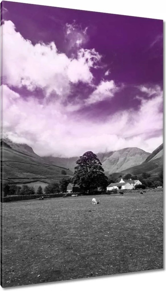 Vászonkép 80x120 Lila égbolt