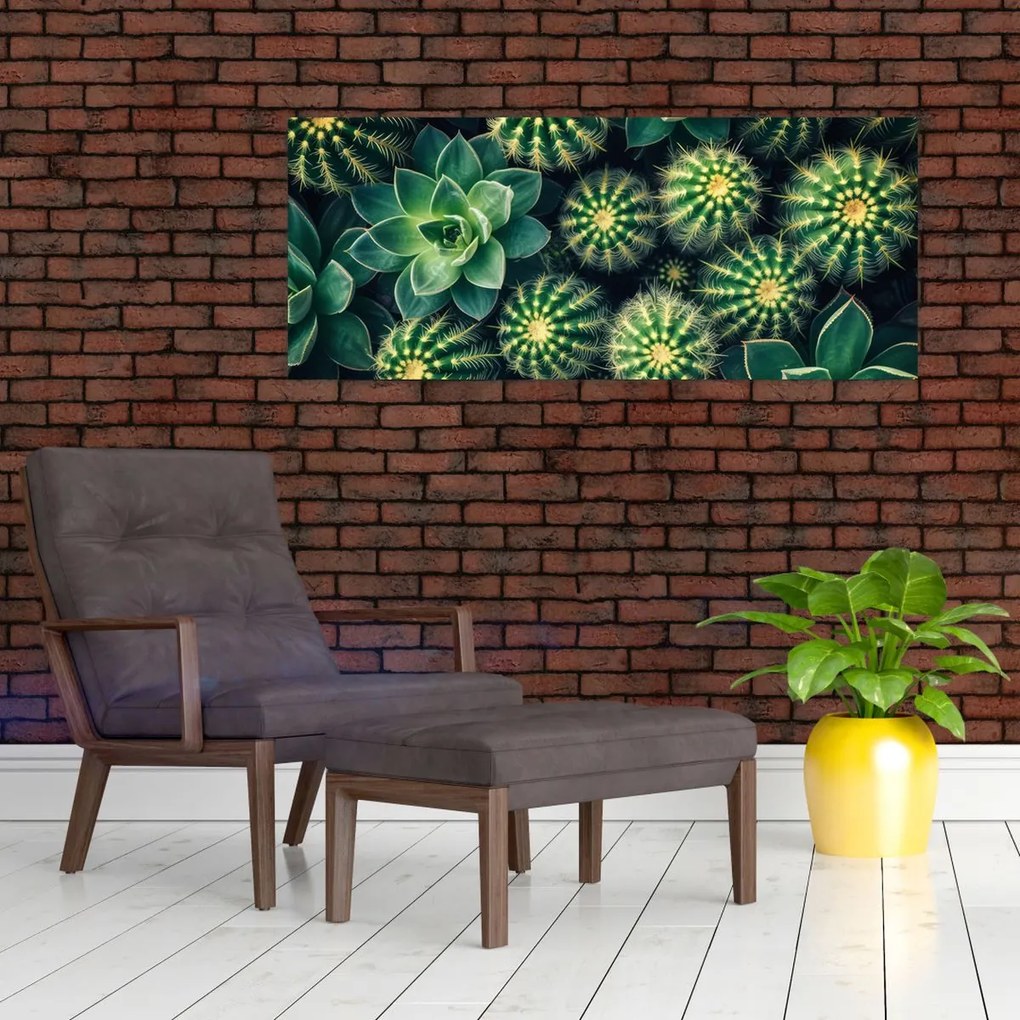 Kép - Kaktuszok (120x50 cm)