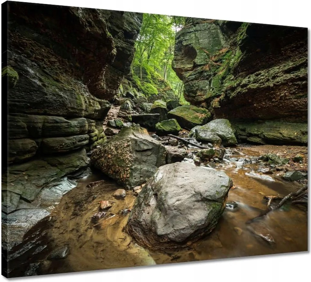 Vászonkép 50x40 Sziklák Folyó Hegyek