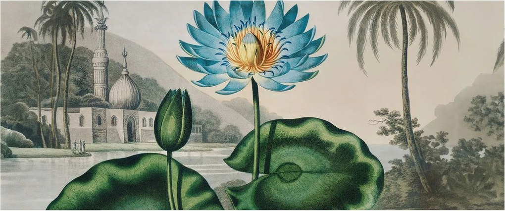 Fotótapéta Flizelin a nappali hálószobába Egzotikus táj 250x104