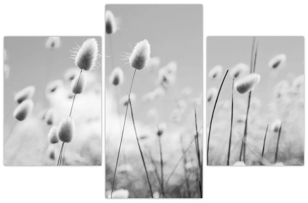 Kép - Boho nyuszi farok fű (90x60 cm)