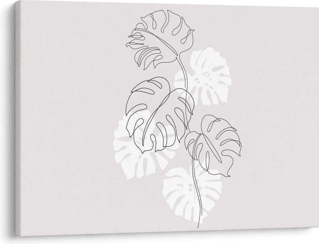 Kép - Vonalkép monstera N⁰3 (70x50 cm)