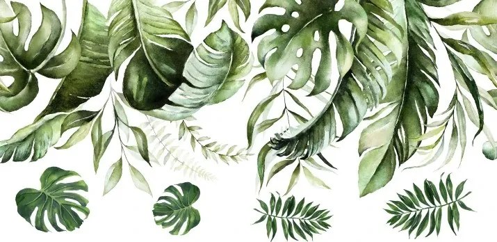 Dekoratív falmatrica Monstera levelek 100 x 200 cm