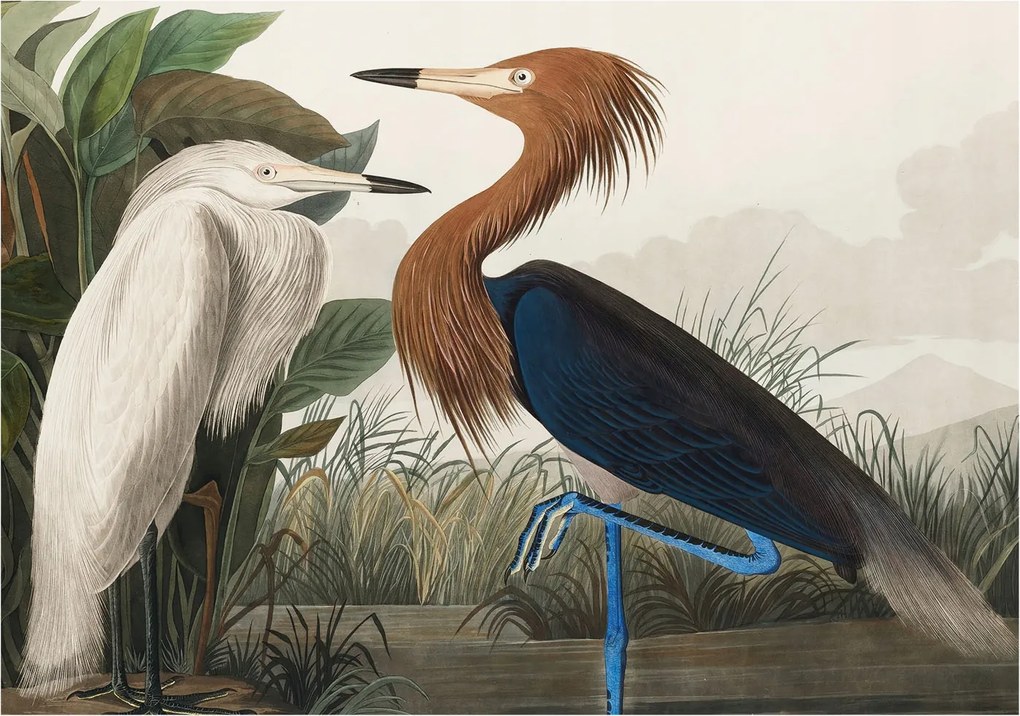 Fotótapéta Flizelin Fal a Hálószobába Madarak a növényekben 312x219 Ragasztó