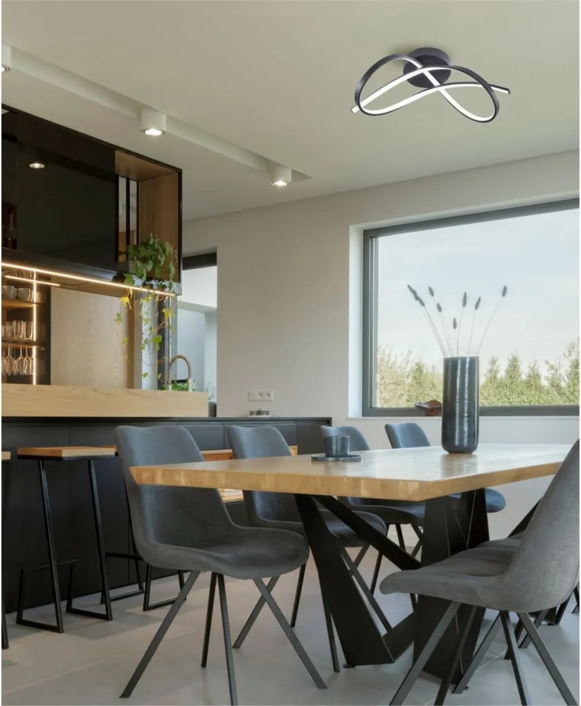 ZUMA LINE 19602C-BK PAUL Modern LED Mennyezeti Lámpa Fekete LED IP20