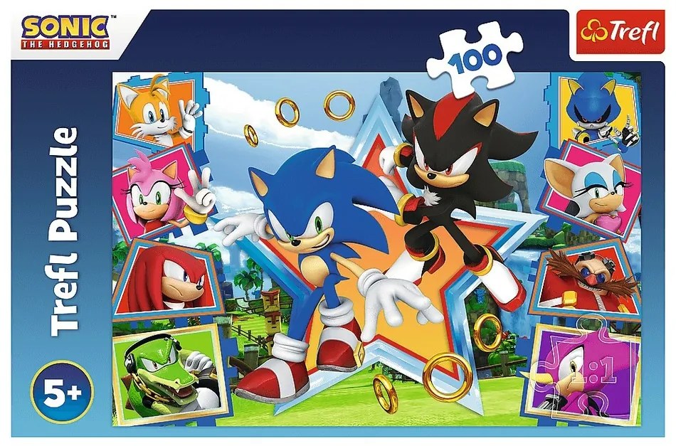 Trefl Puzzle Sonic ismerkedj meg a sündisznóval, 100 darab