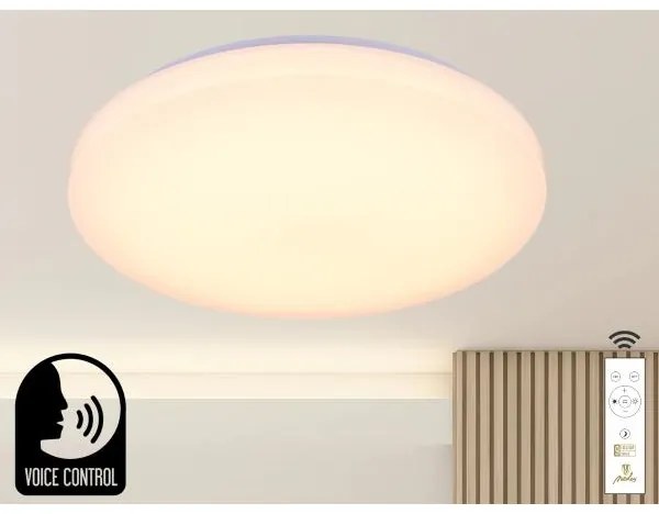 LED Dimmelhető mennyezeti lámpa hangvezérléssel OPAL LED/48W/230V + távirányító