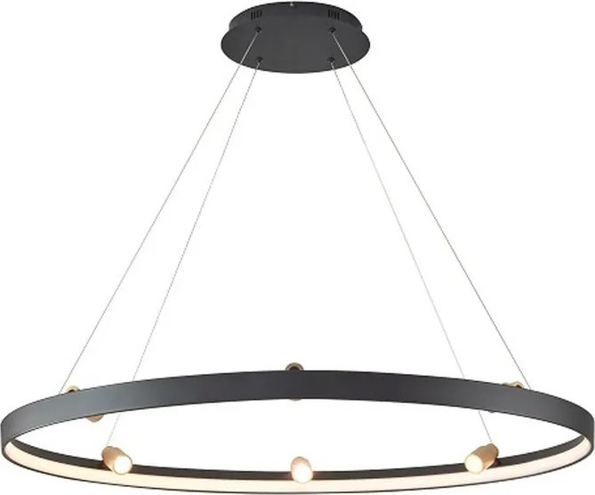 AVIANO LIGHTING 6206-0710 PIGNANO Modern Led Függesztett Lámpa Matt Fekete, Matt Arany LED IP20