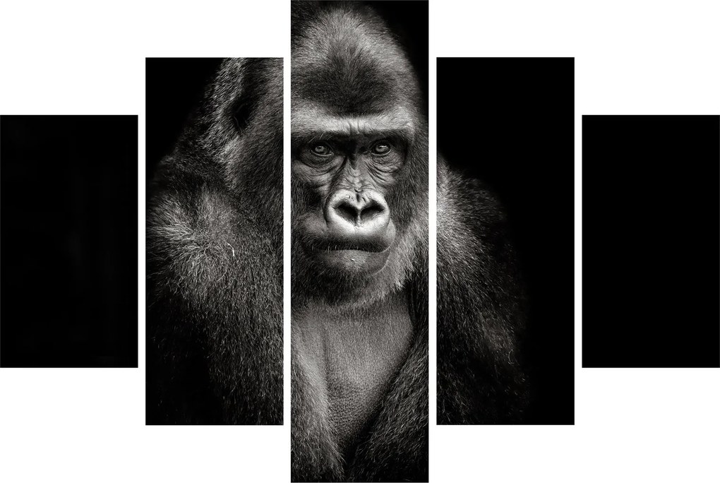 Kép - Gorilla (150x105 cm)