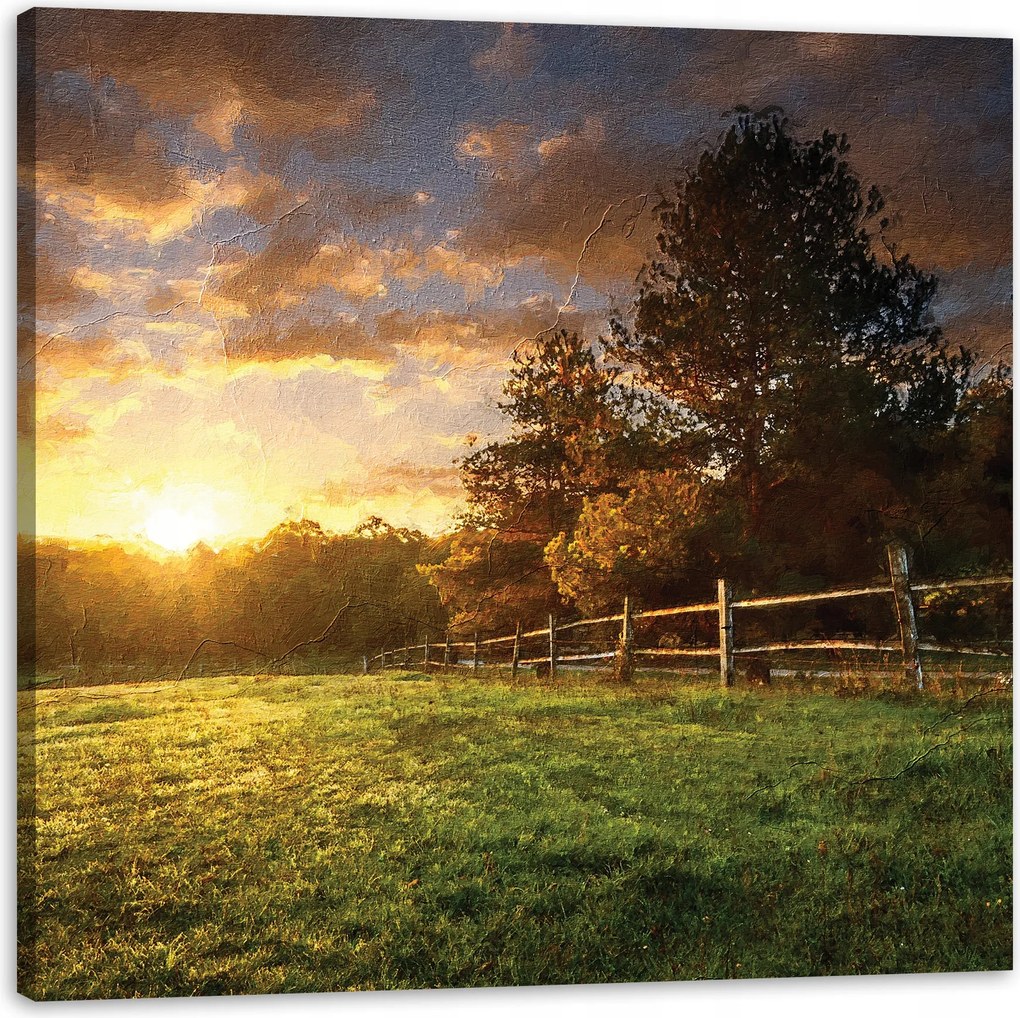 Vászonkép Nap Tájkép Falusi fák Rét 90X90 cm