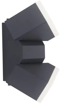 Paul Neuhaus 9722-13 - LED Kültéri fali lámpa RYAN 2xLED/5W/230V IP54