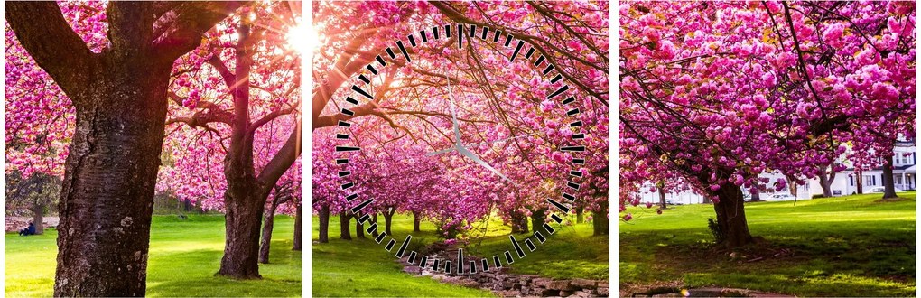 A virágzó cseresznye képe, Hurd Park, Dover, New Jersey (órával) (90x30 cm)