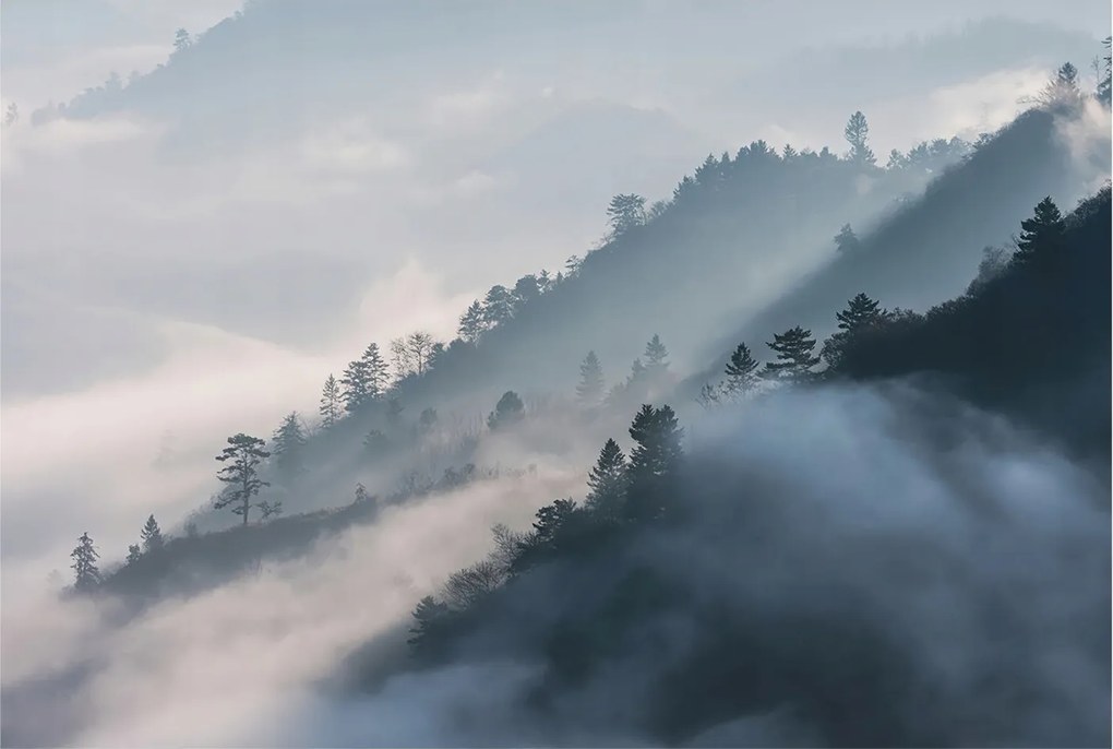 Dekoratív fotótapéta falra Könnyű összeszerelés Ködös tájkép 104x70 Ragasztó