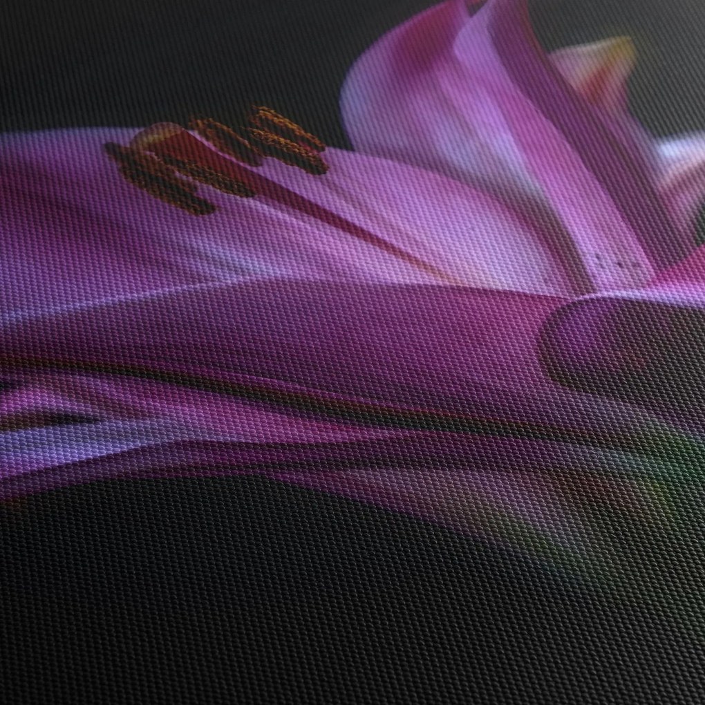 A liliom képe (90x60 cm)