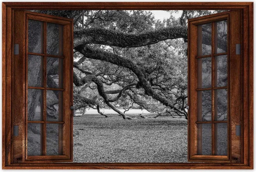 Poszterek 90x60 Erőteljes tölgyek