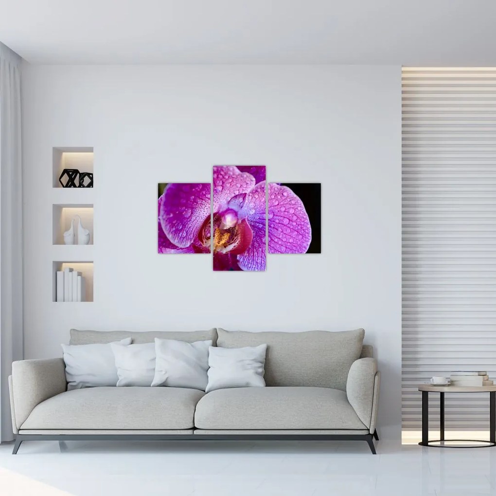 Részletes kép az orchidea virágról (90x60 cm)