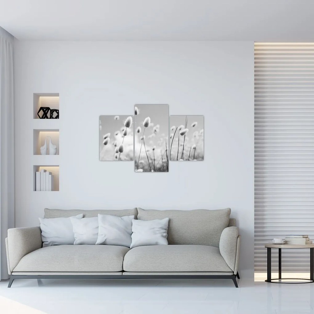 Kép - Boho nyuszi farok fű (90x60 cm)