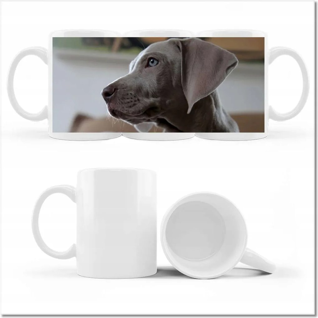 Kutyás fényképes bögre Kutyák