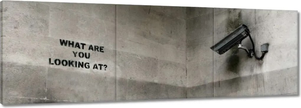 Képek 150x50 Banksy Kamera Graffiti