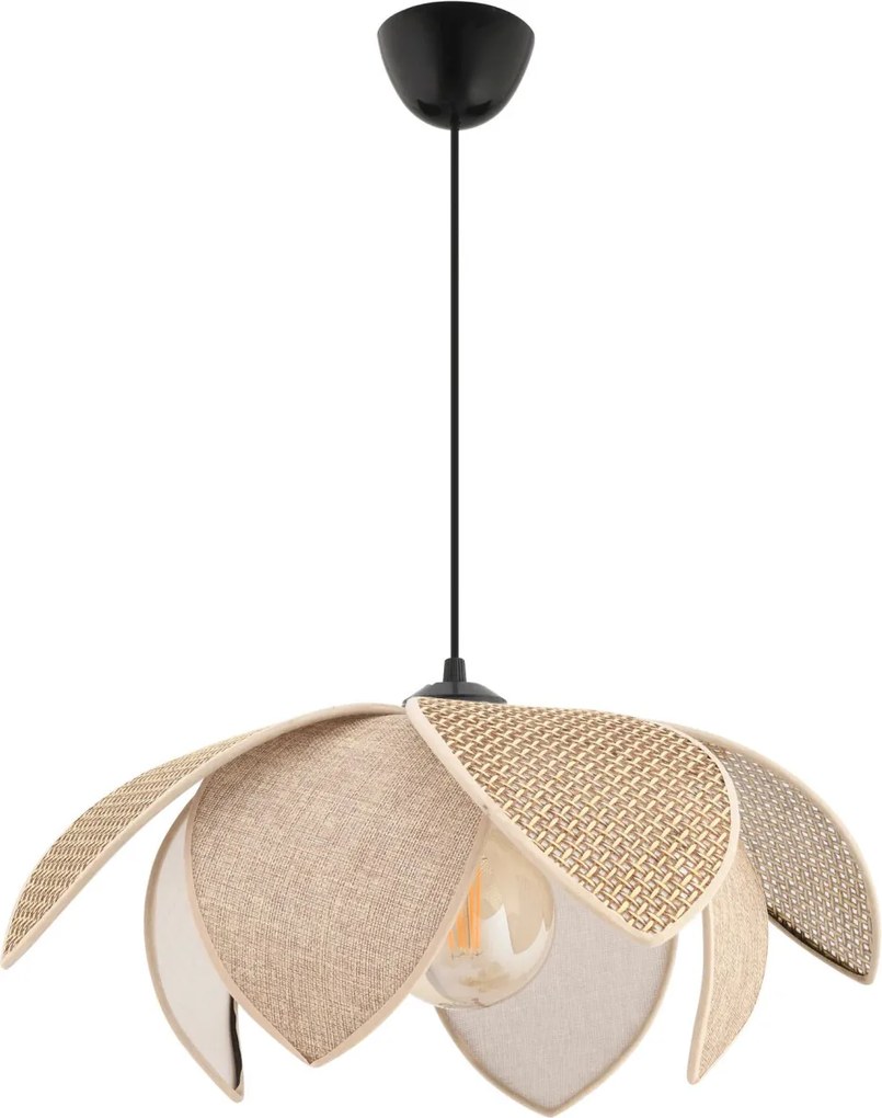 Peony Hazeran - Brown, Beige