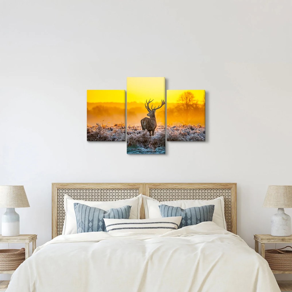 Kép - Szarvas napfelkeltekor (90x60 cm)
