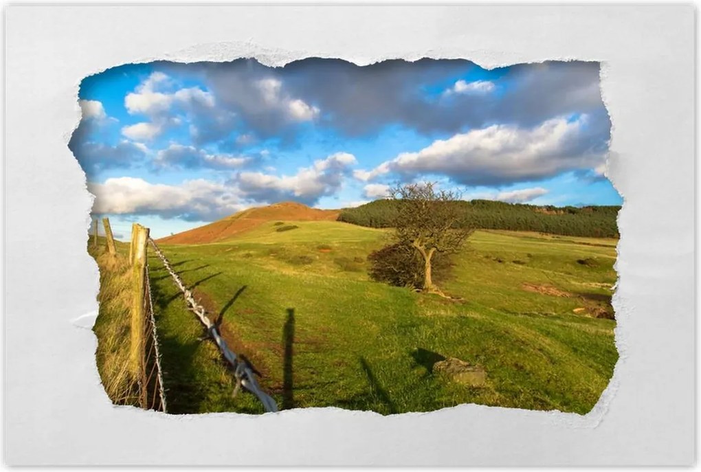 Poszterek 90x60 Tájkép réttel