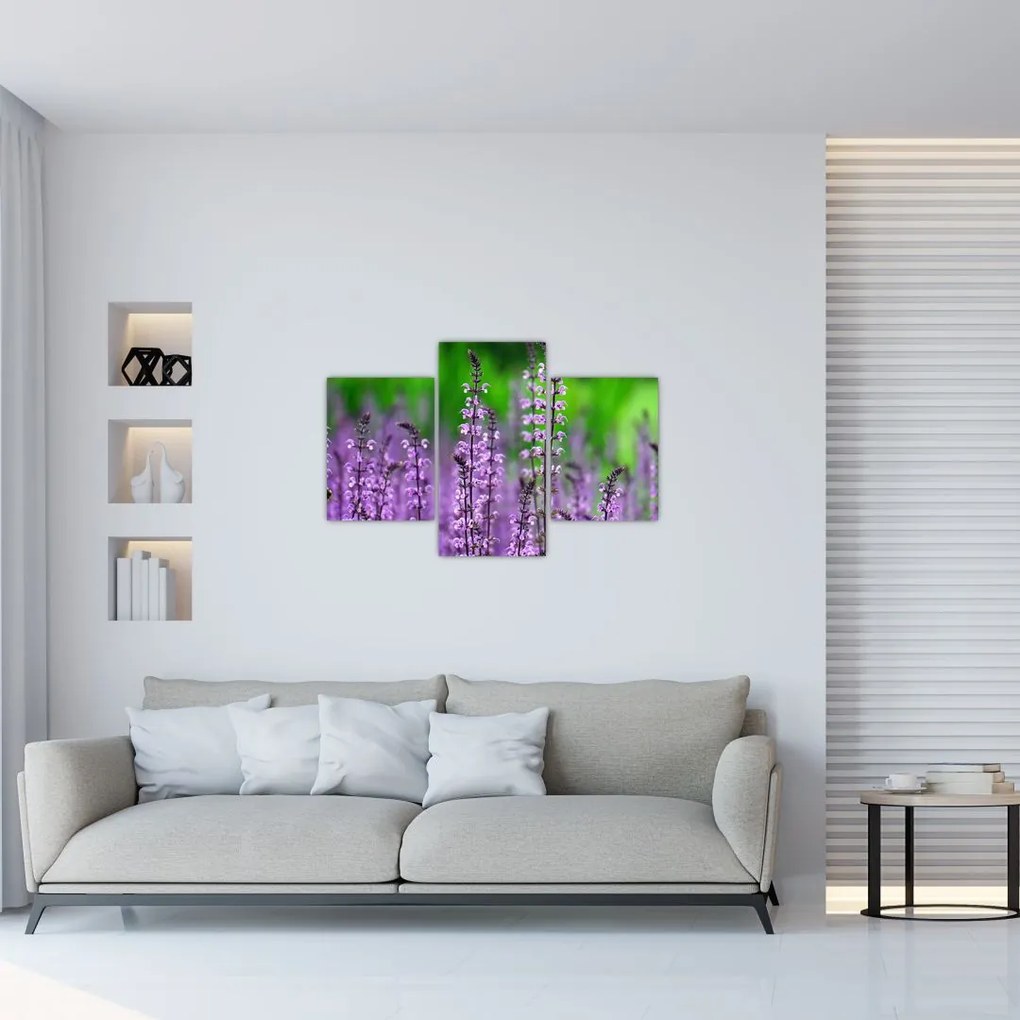 Lila mezei virágok képe (90x60 cm)