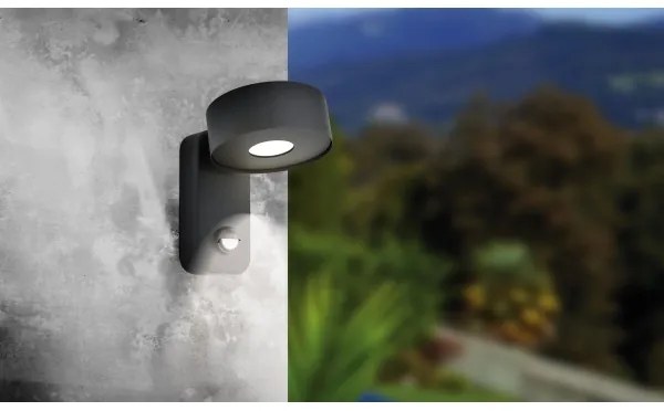 Eglo 98738 - LED kültéri fali lámpa érzékelővel PALOSCO LED / 6W / 230V IP44